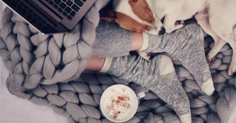 让你的家过冬的廉价方法