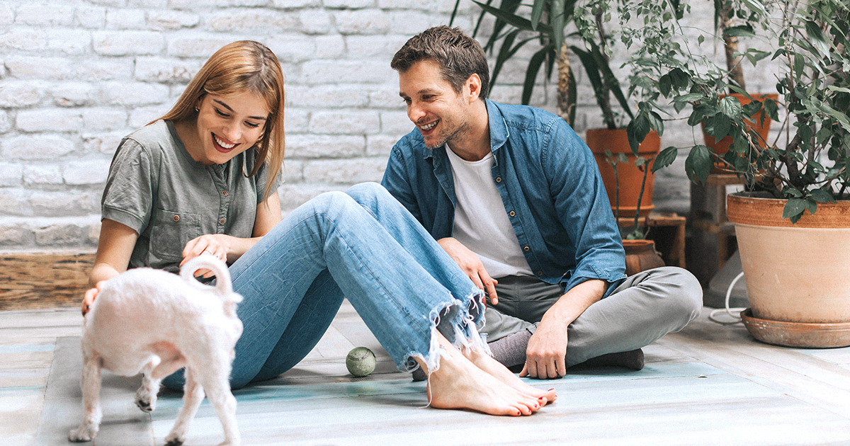 可怜的室内空气品质