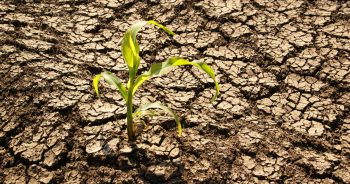 drought-indoor-air-quality